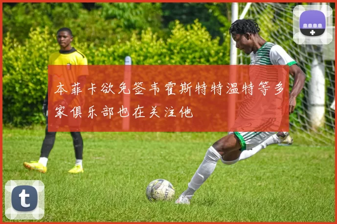 本菲卡欲免签韦霍斯特特温特等多家俱乐部也在关注他